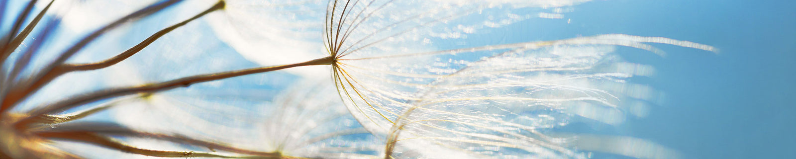 Accesorios de Ventilación